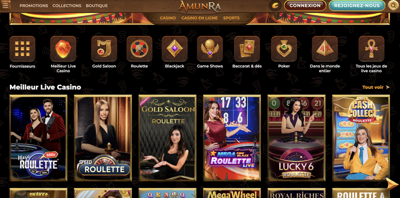 Conception et interface uniques du site web